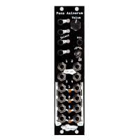 Noise Engineering Pons Asinorum Black по цене 24&nbsp;860 ₽