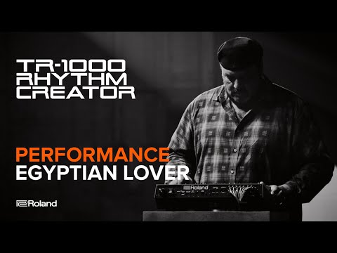 Roland TR-1000 по цене 322&nbsp;560 ₽