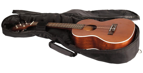 Rockbag RB20002B по цене 1&nbsp;470 ₽