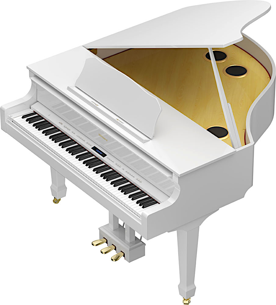 Roland GP609-PW по цене 913&nbsp;990 ₽