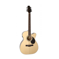 Greg Bennett GOM-100SCE/N по цене 23&nbsp;990.00 ₽