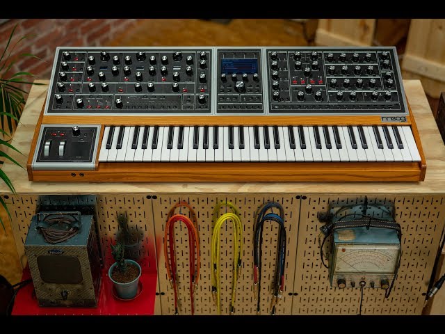 Moog Subsequent 37 по цене 201&nbsp;600 ₽