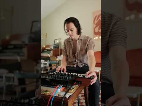 Korg Minilogue XD BW по цене 96&nbsp;600 ₽