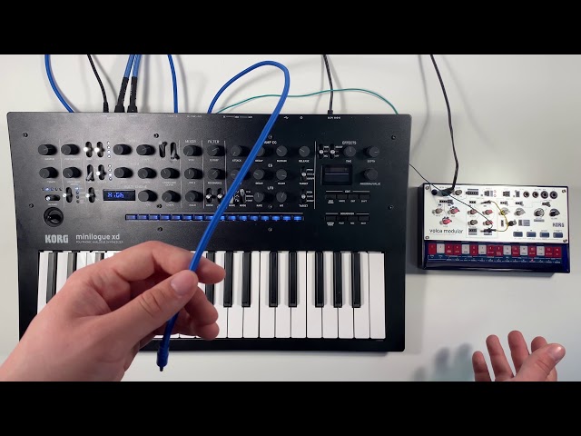 Korg Minilogue XD по цене 78&nbsp;020 ₽