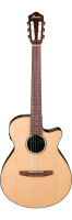 Ibanez AEG50N-NT по цене 43&nbsp;590 ₽