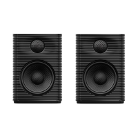 FIIO SP3 Black по цене 29&nbsp;910 ₽