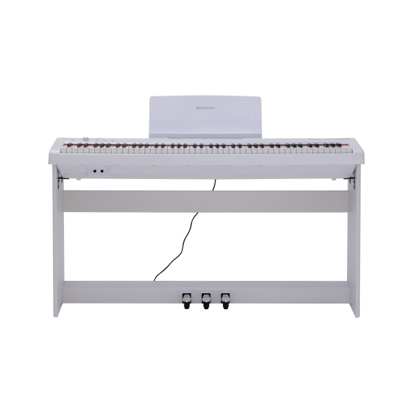 Rockdale Nocturne S 256 W по цене 46&nbsp;890 ₽