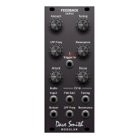 Dave Smith DSM03 Feedback Module по цене 38&nbsp;170 ₽