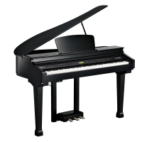 Kurzweil KAG100 EP по цене 212&nbsp;740 ₽