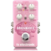 TC Electronic Brainwaves Pitch Shifter по цене 14&nbsp;010 ₽