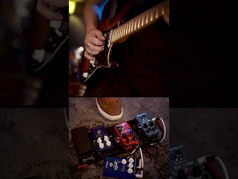 TC Electronic Infinite Sample Sustainer по цене 13&nbsp;910 ₽
