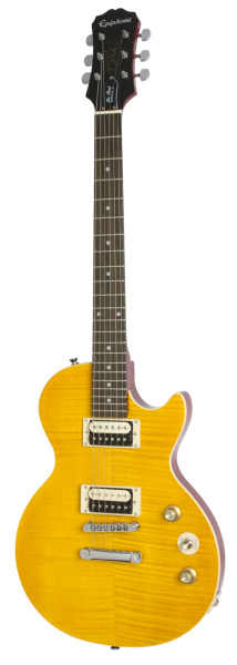 Epiphone Slash AFD Les Paul Special-2 Outfit по цене 65&nbsp;000 ₽