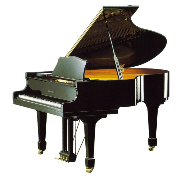 Samick NSG175D/EBHP по цене 1&nbsp;742&nbsp;830 ₽