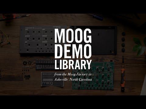 Moog Werkstatt-01 and CV Expander по цене 16&nbsp;400 ₽