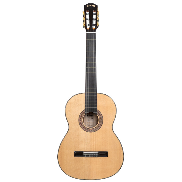 Cascha CGC310 Performer Series по цене 37&nbsp;000 ₽
