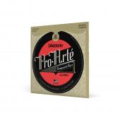 D'Addario EJ45C