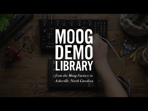 Moog Werkstatt-01 and CV Expander по цене 16&nbsp;400 ₽
