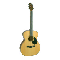 Greg Bennett GOM60/N по цене 17&nbsp;990 ₽