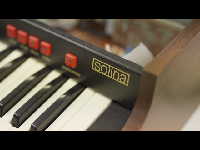 Behringer Solina String Ensemble по цене 35&nbsp;560 ₽