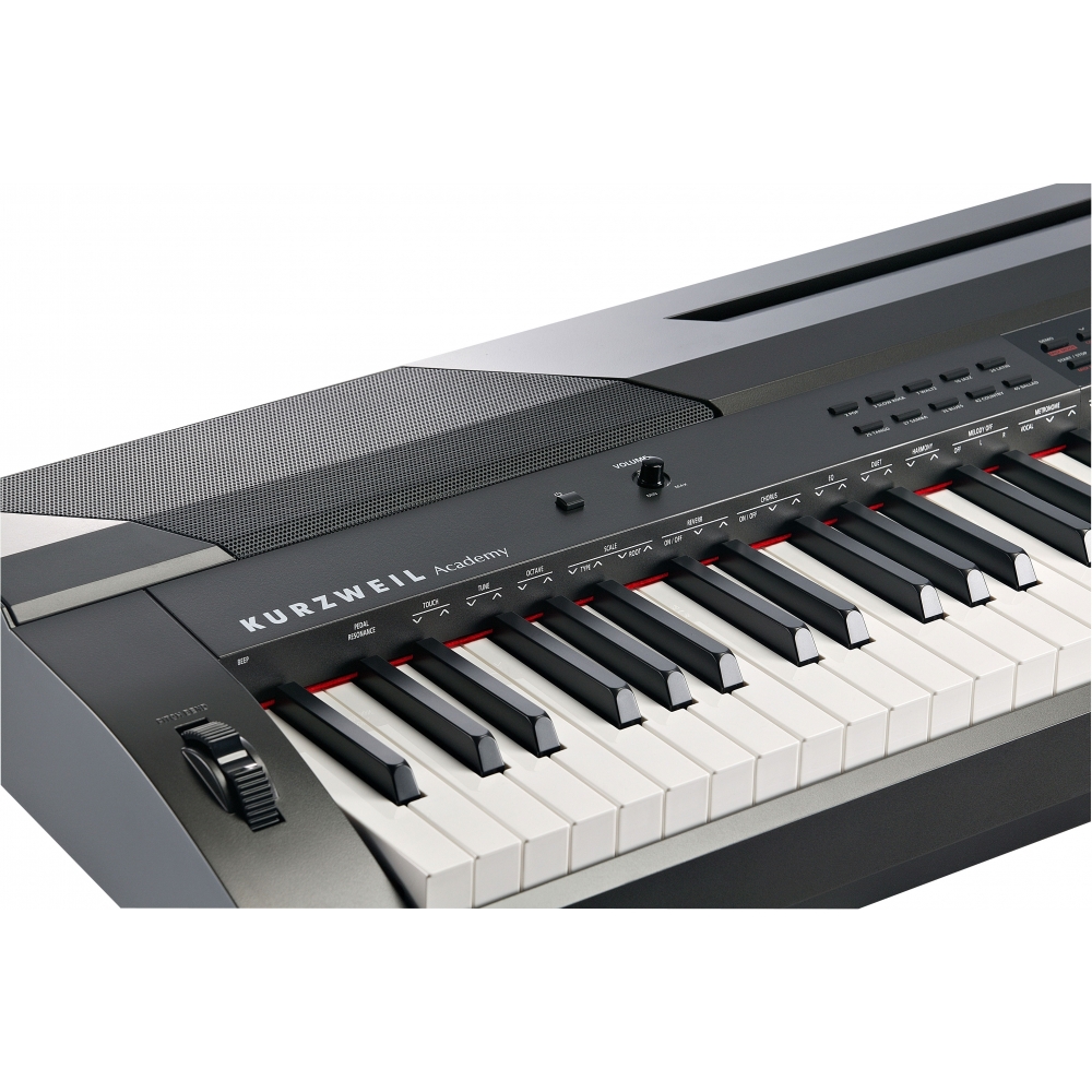 Kurzweil KA90 LB по цене 51&nbsp;990 ₽