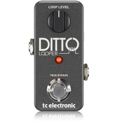 TC Electronic DITTO LOOPER по цене 9&nbsp;030 ₽