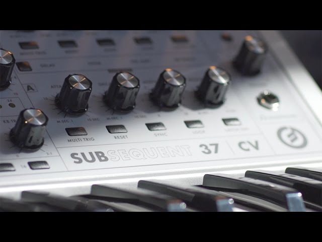 Moog Subsequent 37 по цене 201&nbsp;600 ₽