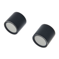 sE Electronics SE8 Omni Capsule Pair по цене 16&nbsp;260.00 ₽