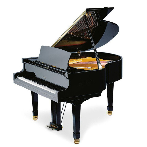 Petrof P 159 Bora (0801) по цене 4&nbsp;935&nbsp;000 ₽