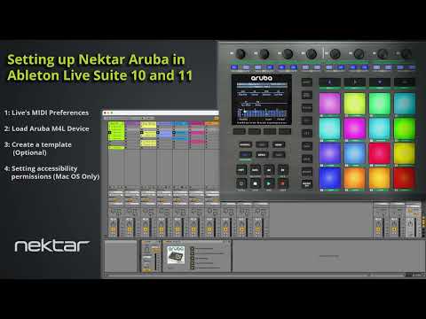 Nektar Aruba по цене 29&nbsp;590 ₽