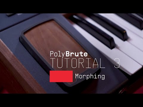 Arturia PolyBrute Noir по цене 365&nbsp;000 ₽