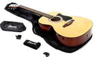 Ibanez VC50NJP-NT по цене 19&nbsp;390 ₽