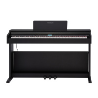 Rockdale Etude 256 BK по цене 57&nbsp;790 ₽