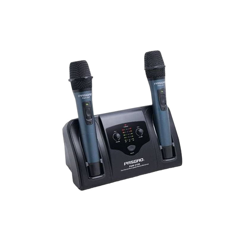 Pasgao PAW3100C/PAH907C 667,2/673,9MHz по цене 28&nbsp;990 ₽