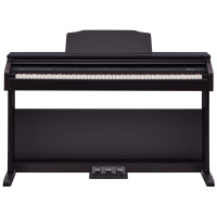Roland RP30