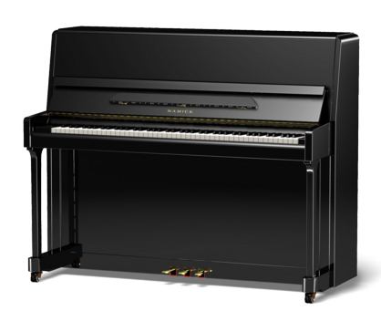 Samick JS118D/EBHP по цене 680&nbsp;500 ₽