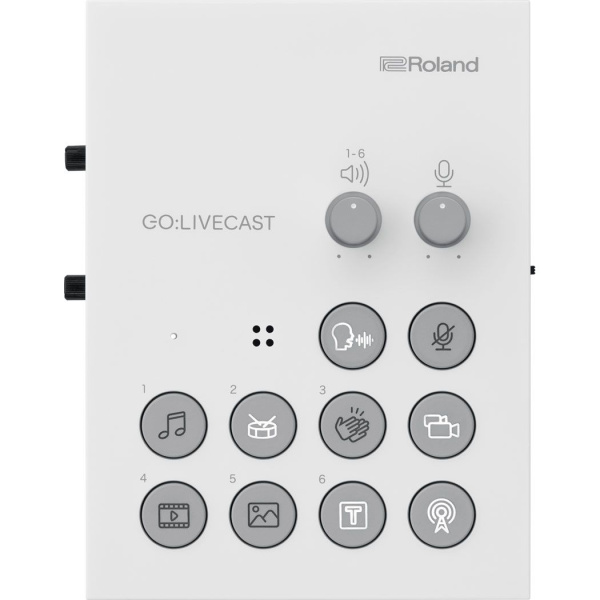 Roland Go:Livecast по цене 26&nbsp;100 ₽
