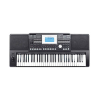 Medeli A810 по цене 36&nbsp;390 ₽