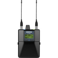 Shure P10R+ L9E по цене 170&nbsp;300 ₽