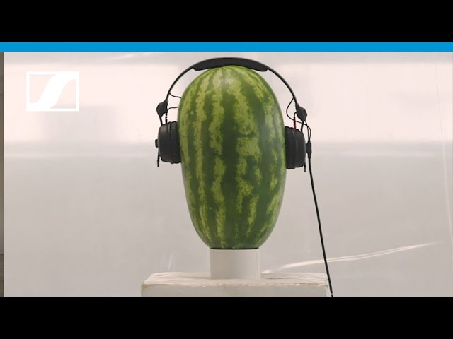 Sennheiser HD 25 по цене 17&nbsp;080 ₽