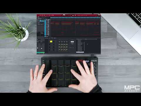 Behringer Studio M по цене 5&nbsp;900 ₽