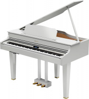 Roland GP607-PW по цене 445&nbsp;990 ₽