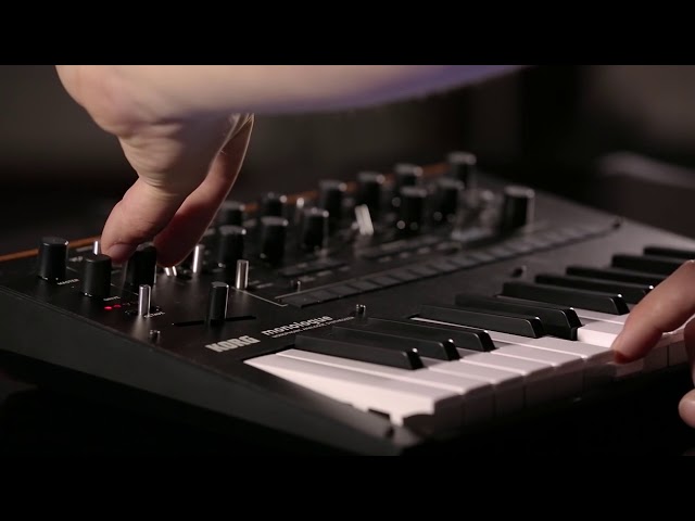 Korg Monologue-BK по цене 44&nbsp;890 ₽