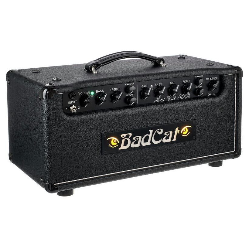 Bad Cat Hot Cat 30 Reverb Head по цене 378&nbsp;110 ₽