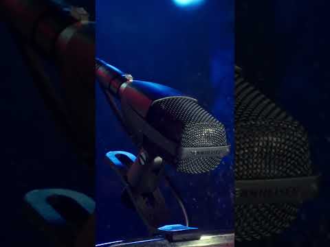 Sennheiser MD 421 Kompakt по цене 30&nbsp;490 ₽