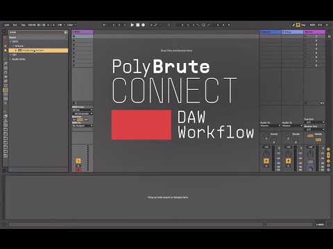 Arturia PolyBrute Noir по цене 365&nbsp;000 ₽