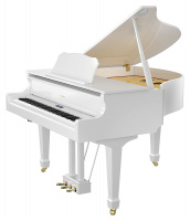 Roland GP609-PW по цене 913&nbsp;990 ₽
