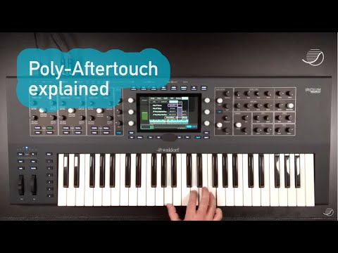 Waldorf Iridium Keyboard по цене 221&nbsp;670 ₽