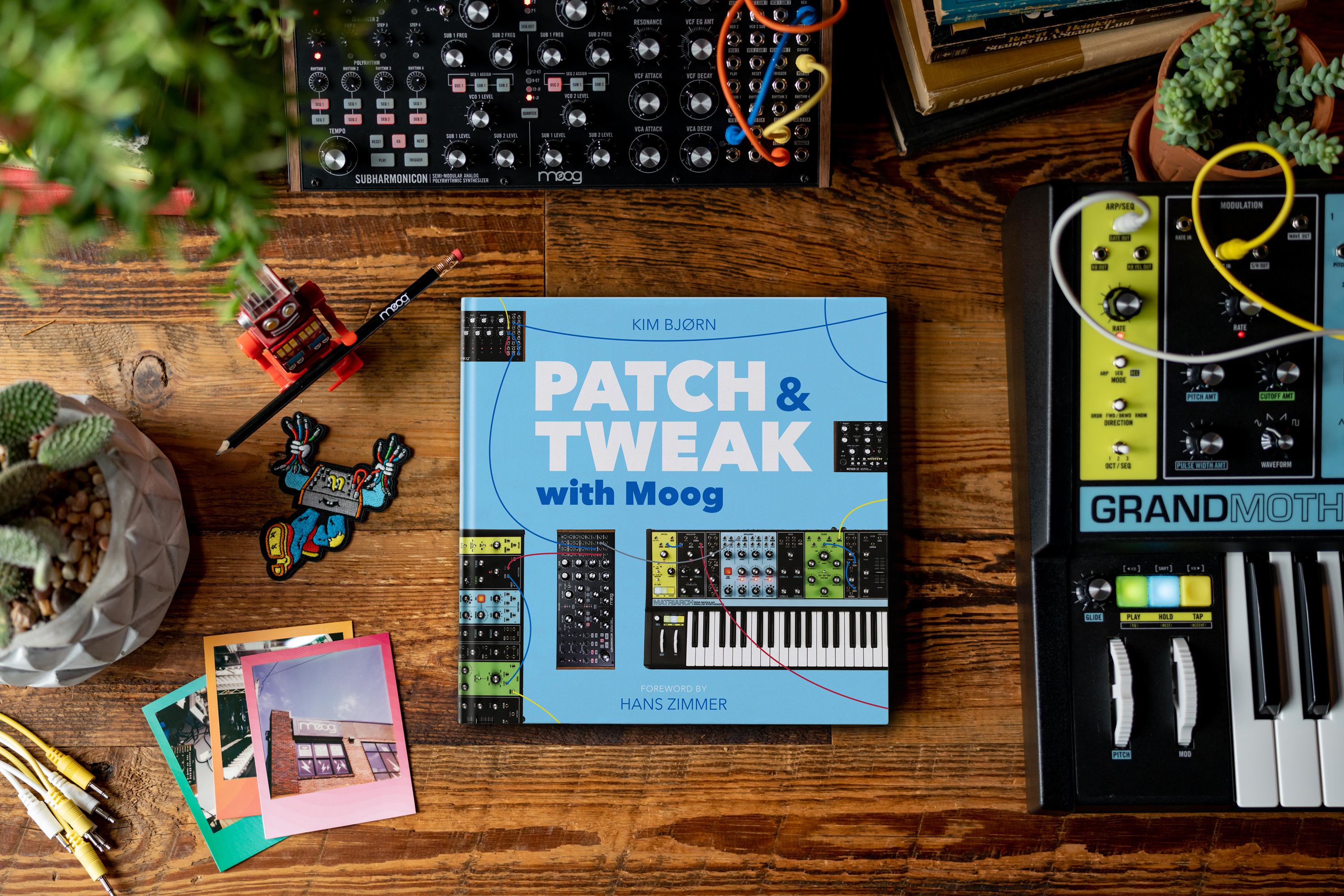 BJOOKS PATCH & TWEAK with Moog по цене 6&nbsp;000 ₽