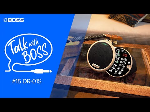 Boss DR-01S по цене 26&nbsp;490 ₽