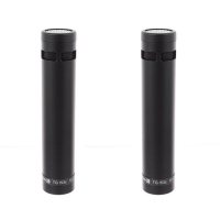 Beyerdynamic TG I53c Stereo-Set по цене 37&nbsp;360 ₽